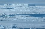 BIG_ICEBERG0032DSC_4369.JPG