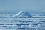 BIG_ICEBERG0108DSC_4445.JPG