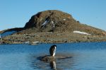DSC_2546.JPG