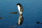 DSC_2612.JPG